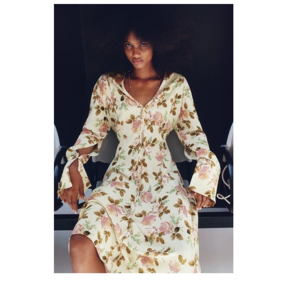 Zara | Printed Dress